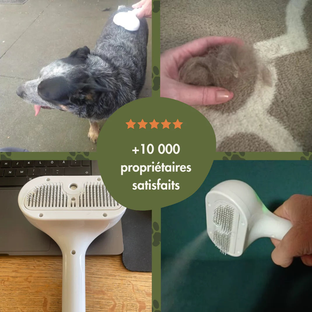 SteamBrush™ - Brosse de massage vapeur