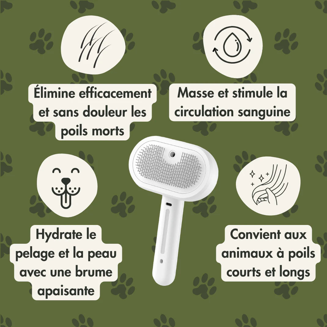 SteamBrush™ - Brosse de massage vapeur