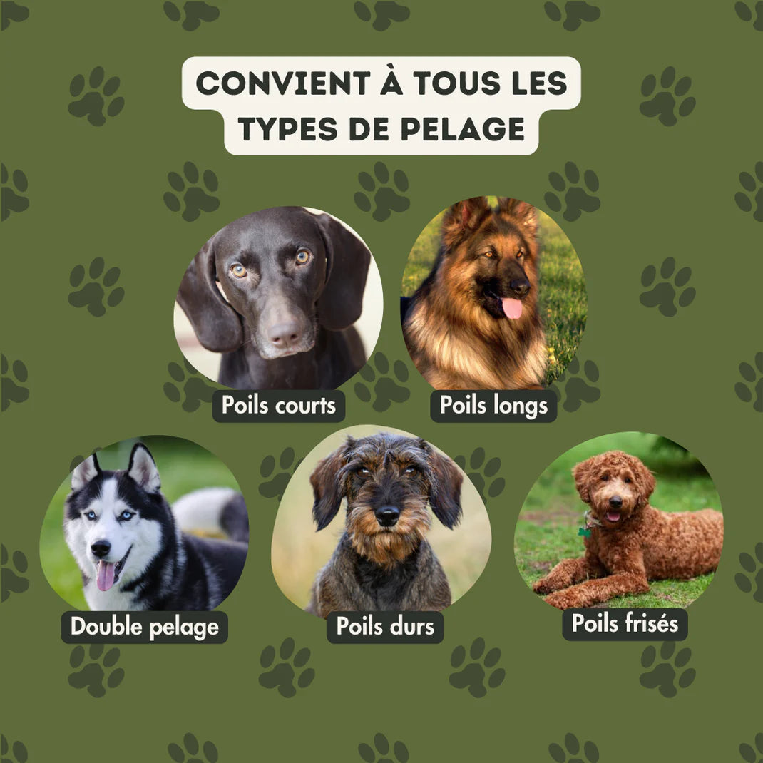 SteamBrush™ - Brosse de massage vapeur